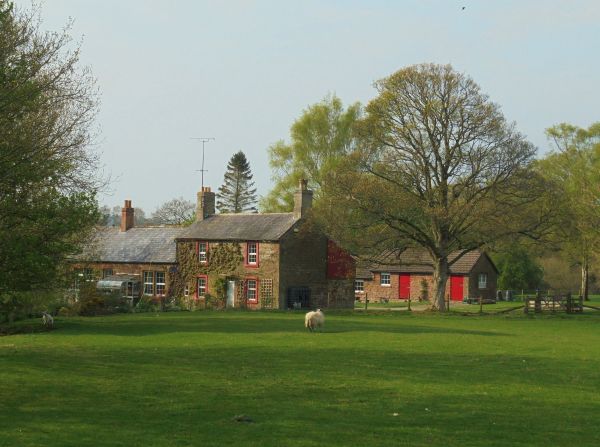Gelt Mill